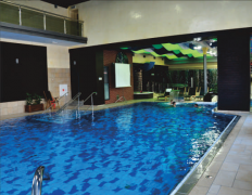 室內(nèi)泳池專用除濕機(jī) 